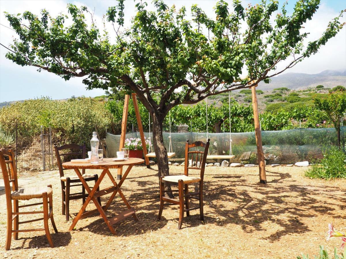 Traditional Cretan Villa Rodhopos 외부 사진