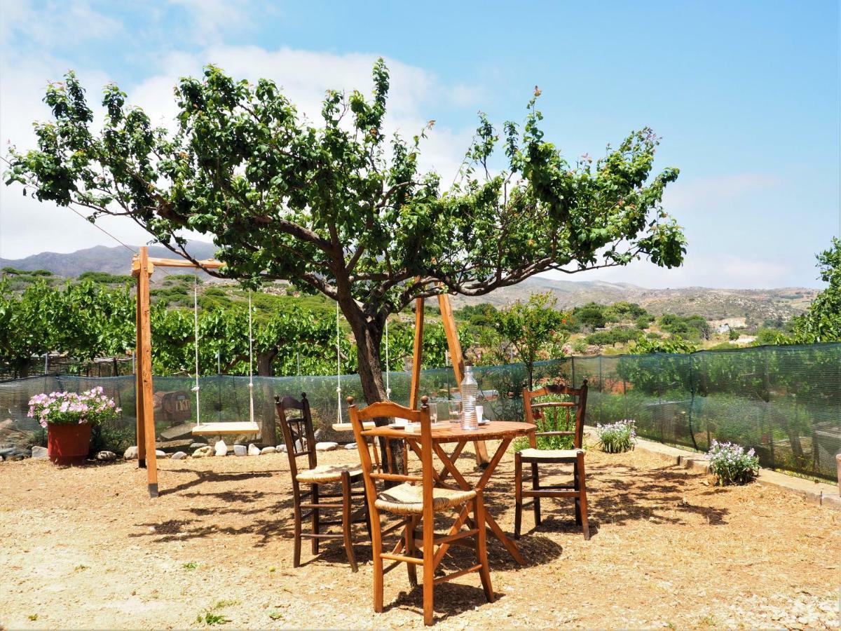 Traditional Cretan Villa Rodhopos 외부 사진